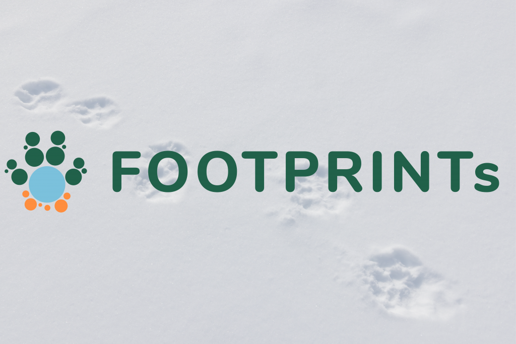 footprints logo
