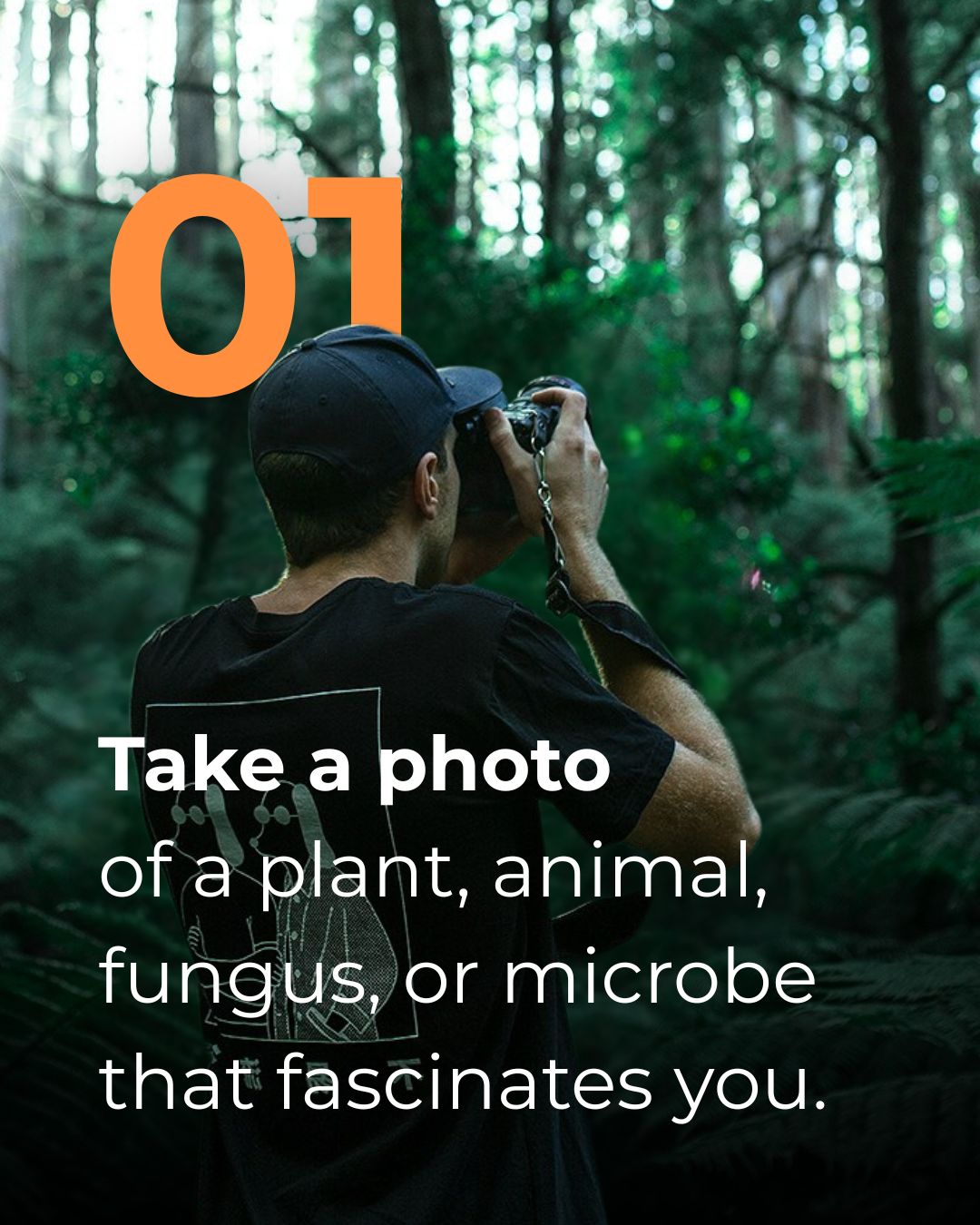 Taxonomy recognition day 1