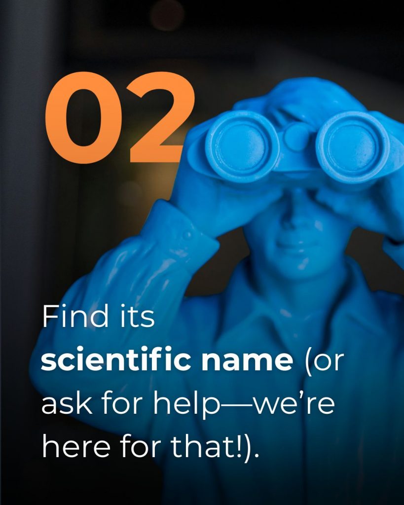 Taxonomy recognition day 2